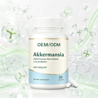 Capsules Probiotiques Akkermansia OEM/ODM 300 Milliards AFU pour la Santé du Côlon et le Confort Gastrique des Adultes – Soutien à la Digestion Saine