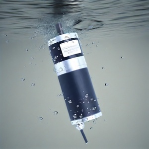 45mm Planetary Brushed DC Motor 140kgf.cm 12V 24V IP68 Waterproof with Forward and Reverse Speed Control - Product Image 1