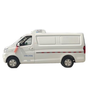 Usato piccolo congelatore commerciale esterno da 2 tonnellate Mini refrigerato contenitore per auto frigo <span class=keywords><strong>camion</strong></span> per carne e pesce - Product Image 1