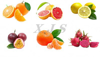 Graines ininterrompues Kumquat Citron Passion Fruit Juicer Orange Pamplemousse Extracteur Squeezer Calamansi Lime Jus Maker Making Machine