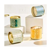Pot en fer blanc de première classe rond anti-fuite vide pour la fabrication de bougies avec étiquettes personnalisées modèle 8oz TW 3309
