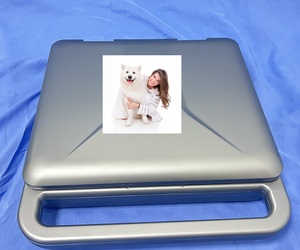 Mesin medis <span class=keywords><strong>Ultrasound</strong></span> <span class=keywords><strong>Digital</strong></span> penuh ultrasonik <span class=keywords><strong>Laptop</strong></span> kualitas tinggi 12 inci untuk dokter hewan - Product Image 4