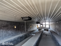 Solutions modernes de ventilation et d'élevage pour porcheries de petite et grande envergure avec cages pour animaux de type H en acier Q235, durée de vie de 20 à 25 ans