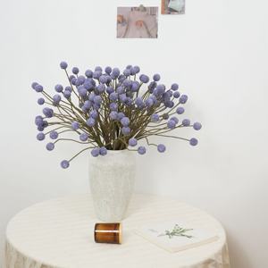 Doğal kuru çiçekler korunmuş Billy düğme kurutulmuş Craspedia çiçek Yunnan kurutulmuş çiçek Centerpieces Boho ev dekor için - Product Image 1