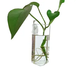 El üflemeli duvar asılı vazo küçük kare şeffaf cam hava bitki teraryum çiçek tomurcuğu vazo