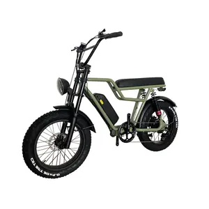 48v 500W specializzato 20 "grasso pneumatico sospensione completa lungo raggio elettrico Cargo Bike 20 pollici elettrico Fat Bike per la vendita