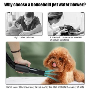 Ad alta potenza Stepless regolazione della velocità Pet asciugacapelli transfrontaliero in plastica soffiatore ad acqua per cani - Product Image 3