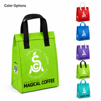 Sacs isothermes et sacs thermiques non tissés personnalisés 30L, imperméables, réutilisables, pour la livraison de repas, impression de logo, fournisseur pour restaurants