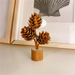 Artisanat en résine de style forêt, pomme de pin, ornement de bureau, décoration d'ambiance Wabi-Sabi, créatif pour la maternelle, pur à trois têtes - Product Image 6