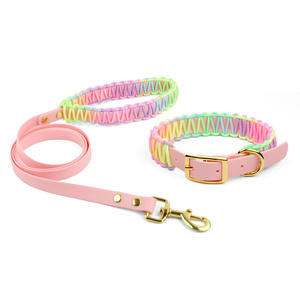 Conjunto de <span class=keywords><strong>Collar</strong></span> y Correa para Perro Impermeable, <span class=keywords><strong>Collar</strong></span> y Correa de Silicona Rosa para Perro, <span class=keywords><strong>Collar</strong></span> de PVC Rosa de Alta Calidad para Cachorros - Product Image 6