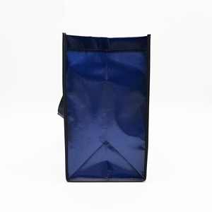 Bolsas de Compras de Polietileno LDPE Resistentes y Ecológicas con Impresión de Logotipo Personalizado, Gran Venta - Product Image 6