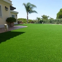 Herbe artificielle imperméable et écologique pour décoration de terrain de sport et de mur d'arrière-cour de jardin pour la décoration de paysage d'académie de sport