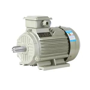 YE3-80M1-2 lE3 motor 2 tiang 380V 3000rpm 0,75kw fase tiga motor induksi ac untuk planer