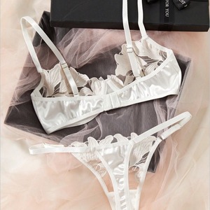 OEM 2025 Vente chaude Lingerie érotique en maille transparente brodée de fleurs, ensemble soutien-gorge et culotte 2 pièces pour femmes - Product Image 2