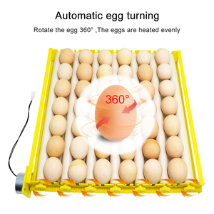 Bandeja para Huevos de Gallina de 48-78 Huevos, Volteador Automático de Huevos con Rodillo, Incubadora de Plástico - Product Image 5