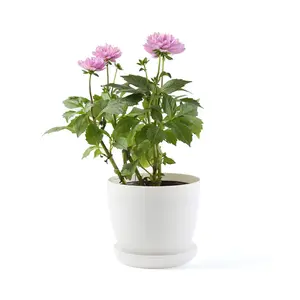 YICAI — Pot de fleur rond en plastique pour plantes, Pot de jardin avec plateaux pour décoration de bureau, conteneur pour plantes succulentes