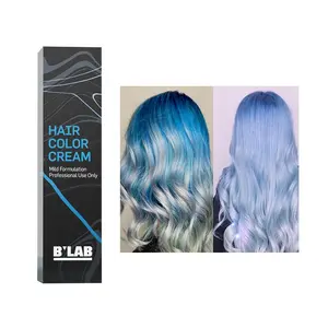 Private Label Natürliche Haarfarbe Creme Haar färbemittel für profession elle Salon Semi Permanent Blue Low Ammoniak Bio Haar färbemittel Creme