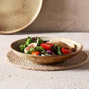 Service de table en céramique rétro avec bol, porcelaine haute température pour la maison, l'hôtellerie et la restauration - Product Image 4