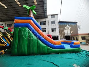 Palm Tree bouncy nước lâu đài hồ bơi trượt Inflatable Jumper thư bị trả lại nhà trở ngại trẻ em không khí Jumper Inflatable ướt/khô trượt nước - Product Image 6