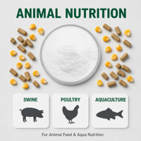 Bubuk Vitamin B1 (Tiamin) Grade Pakan Ternak, Aditif Pakan Hewan untuk Babi, Unggas, dan Premix Pakan Ikan, Produsen Nutrisi