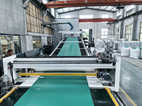 Ligne d'extrusion entièrement automatique personnalisée à vis unique pour la production de panneaux, feuilles et films imperméables en PVC, TPO, EVA, PE, PP, LDPE