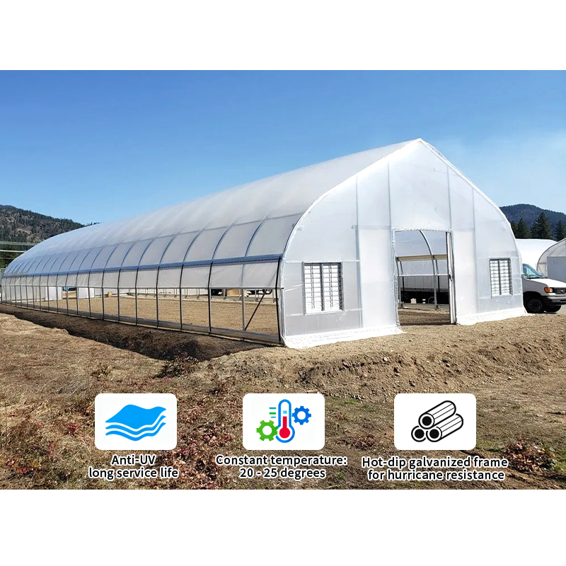 Green House Full Set Agriculture Products