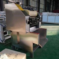 Nouvelle machine électrique à saupoudrer la pâte avec un acier inoxydable 304 de haute capacité 100-1500 kg/h pour la production de snacks