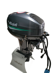 Moteur 15HP E15 - Product Image 6