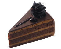 Machine à découper les gâteaux ronds à ultrasons Wanlisonic, coupe-gâteau à ultrasons pour mousse, gâteau éponge et gâteau au fromage, pour la pâtisserie à domicile
