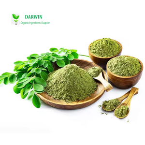 Натуральный органический экстракт листьев Моринги порошок - Product Image 3