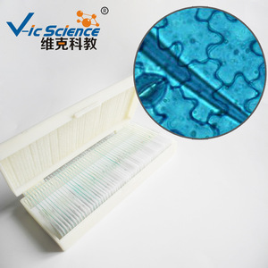 Factory direct supply of geranium leaf lower epidermis slides, biological sections, <b>microscope</b> slides, and laboratory - Product Image 2