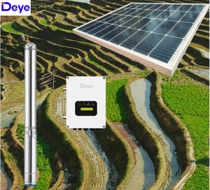 Deye 3hp Solar <b>Submersible</b> <b>Pump</b> 4A2200/PC6-240D 3600W AC Hybrid Controller for Agricultural Farm Irrigation 4A2200/PC6-240D & - Product Image 2
