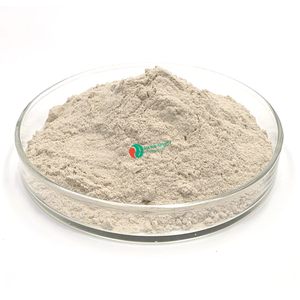 खाद्य ग्रेड <span class=keywords><strong>99</strong></span>% पेसिलियम भूक बीज अर्क पिस्ता - Product Image 2