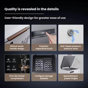 Congelatore VOKA a Temperatura Ultra Bassa 102L, Speciale per Caffè Ghiacciato, Frigorifero a -86 Gradi Celsius - Product Image 5