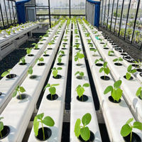 Système de culture hydroponique vertical d'intérieur multifonctionnel efficace Équipement de croissance des plantes avec pompe pour les industries agricoles