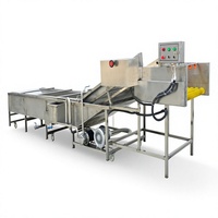 Dadels & kleine vruchten reinigingsmachine