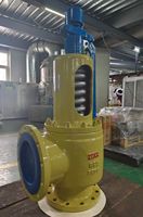 Válvula de Seguridad de Acero Inoxidable 304/316, Válvula de Alivio de Presión Ajustable para Vapor, Aire, Gas y Agua