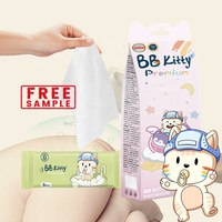 BB Kitty Mini lingettes humides à rincer Fournisseurs de lingettes en tissu de poche Lingettes humides pour le nettoyage de l'eau corporelle Lingettes pour bébé