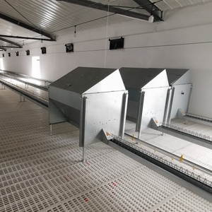 Gà nuôi Phễu tự động gia cầm Silo hệ thống nhà bin băng tải mạ kẽm thức ăn gia cầm Thùng Nhà cung cấp - Product Image 4