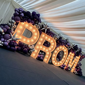 Wholesale Custom Letters <b>LED</b> <b>Light</b> Logo Marquee Bulb Electronic Signs for Companies and Malls <b>Light</b> Source - Product Image 1
