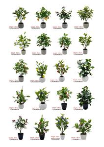 Tizen Sản phẩm mới tùy chỉnh nhựa giả <span class=keywords><strong>Cherry</strong></span> chanh cây bonsai cây ăn quả nhân tạo trong xi măng nồi - Product Image 5