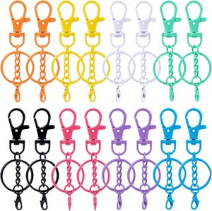 Winsyison – Lot de crochets pivotants colorés avec porte-clés, petits fermoirs mousquetons en alliage, clips de porte-clés robustes, crochets pour clés C - Product Image 1
