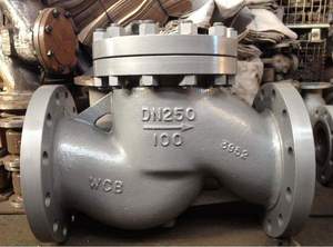 Van Kiểm Tra Dừng Pornd 10 Inch Loại Nâng Ghế Bằng Kim Loại Áp Suất Cao Dn100 Pn16 Pn40 Dùng Cho Nước - Product Image 5