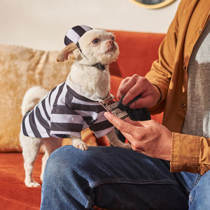 Perro divertido disfraz prisión gato ropa perro disfraz Halloween uniforme traje cachorro Festival perro ropa para fiesta - Product Image 6