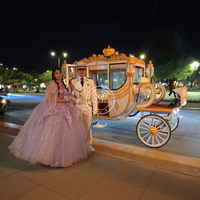 Accessoires de mariage de luxe personnalisés chariot de calèche tiré par des chevaux de mariage chariot de tourisme royal électrique à vendre