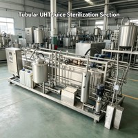 Industriële volautomatische fruitverwerkingsinstallatie op maat gemaakte capaciteit fruitdrankproductiemachine voor sapfabriek