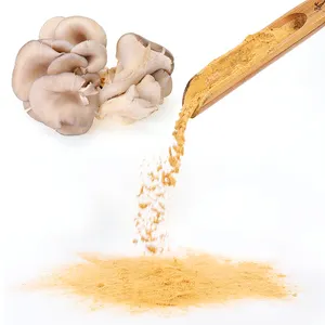 定制混合蘑菇提取物粉狮子鬃毛，虫草，Chaga，火鸡尾巴，灵芝，提取物粉