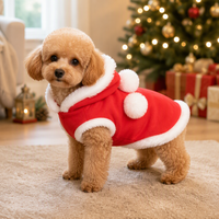 Cape de Noël rouge pour animaux de compagnie avec bordure en fourrure, tenue de fête pour chiots et chats