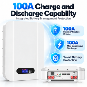 แบตเตอรี่โซลาร์ติดผนัง 51.2V 100Ah 5.12kWh สำหรับสำรองไฟบ้าน อพาร์ทเมนท์ วิลล่า ระบบไฟฟ้าออฟกริด - Product Image 4