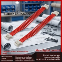 Connecteur JST SHR-02V-S-B 1mm SH10 pour brosse à dents électrique, câble d'insertion, fabrication chinoise, fourni directement par Xindia